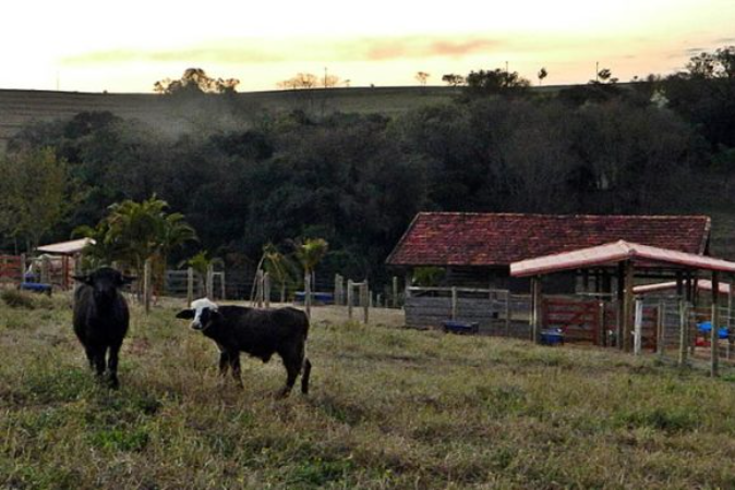 Fim de Semana na Hotel Fazenda Ararita - im2697