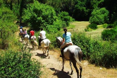 Cavalgada em Itatiba - im823
