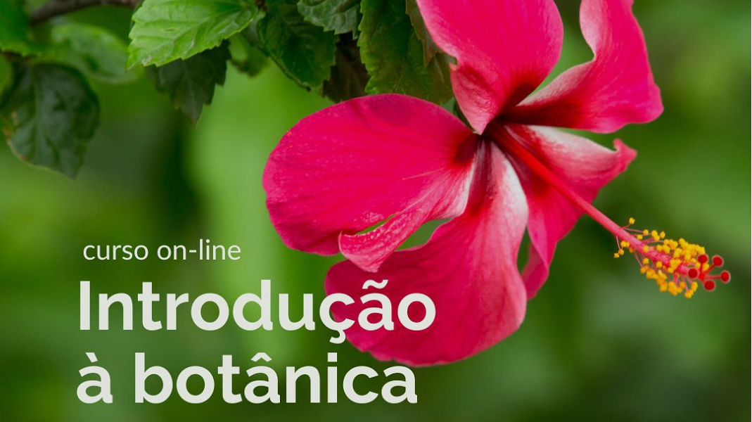 Curso de Introdução à Botânica - im1486